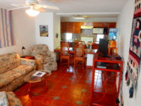 Lower level Living Room and Kitchen of 1-bedroom condo